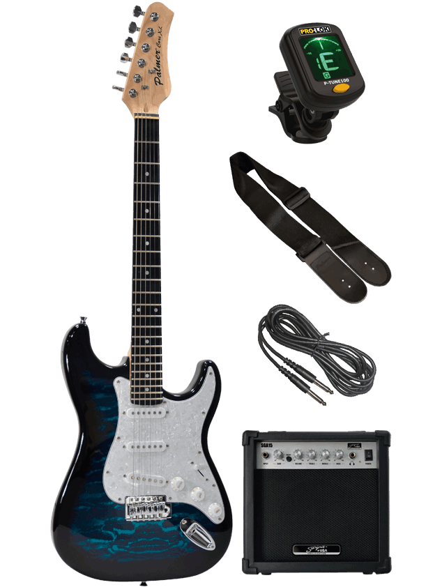 Electric Guitar Pack Palmer PE-Core